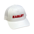 Easley Cap- Richardson 112 (3D Easley)